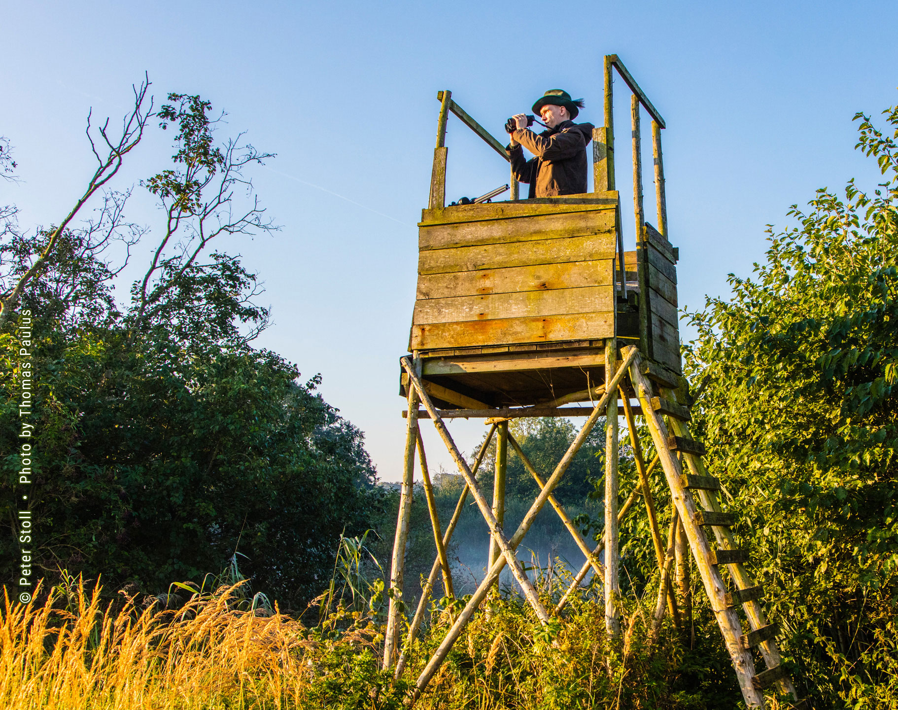 Wildmanagement Stoll Hege und Revier Hochstand jagdliche Einrichtung | © Peter Stoll • Photo by Thomas Paulus