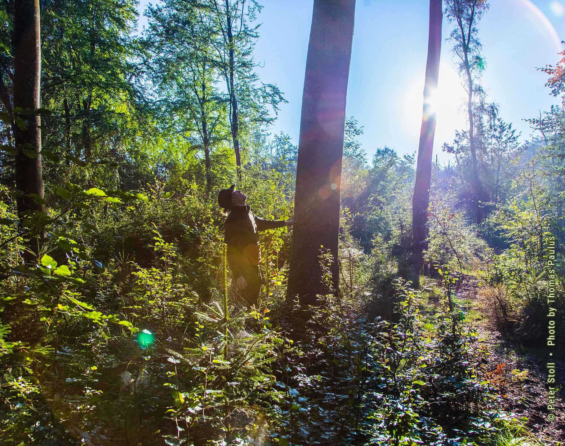 Wildmanagement Stoll Hege und Revier Forstmanagement | © Peter Stoll • Photo by Thomas Paulus