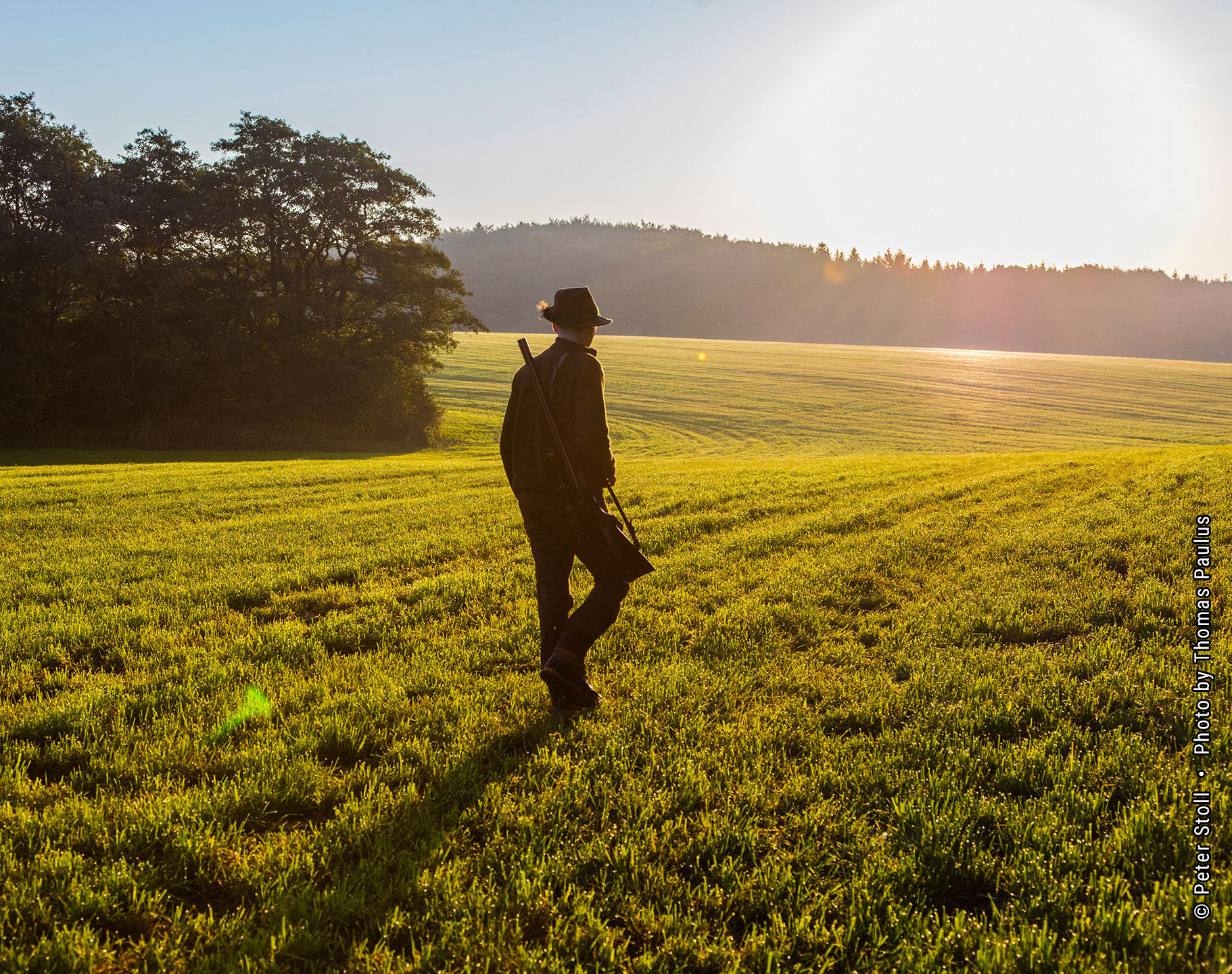 Wildmanagement Stoll Expertise Revierförster | © Peter Stoll • Photo by Thomas Paulus