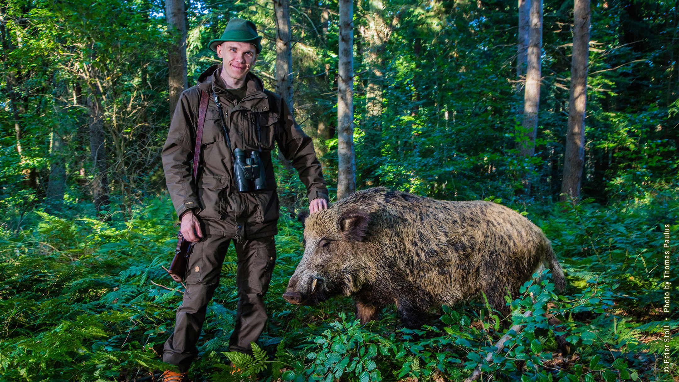 Wildmanagement Stoll Expertise 1 Wildschwein, Schwarzwild | © Peter Stoll • Photo by Thomas Paulus